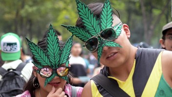 El ABC para consumo de marihuana en México