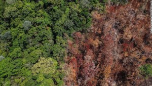Amazonas incendios deforestación