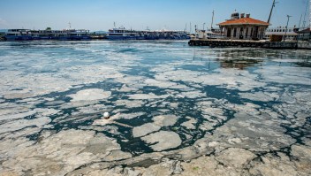 "Mocos de mar" invaden costas de Turquía