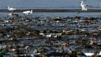 Los países que más desperdicios plásticos generan