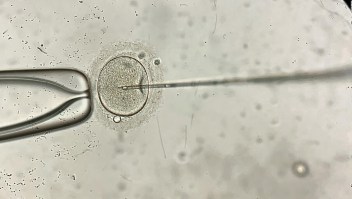 Fallo histórico para víctimas de embriones destruidos