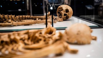 El ADN reveló un secreto de familia en estos restos vikingos