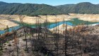 Estudio: Los incendios forestales en EE.UU. podrían agravarse