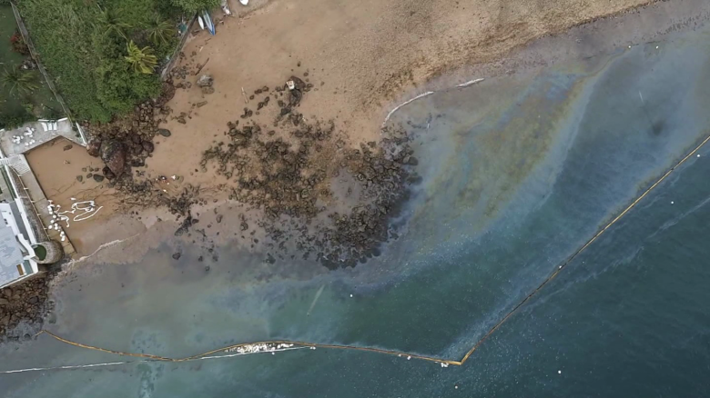 Isla Taboga, en riesgo ecológico por derrames