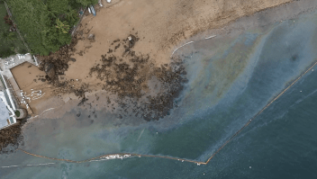 Isla Taboga, en riesgo ecológico por derrames