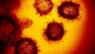 Infectólogo: No habrá inmunidad de rebaño por variantes