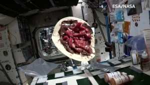 Mira flotar este panqueque de fresas en el espacio