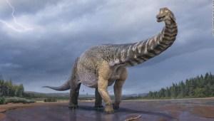 dinosaurio Australia