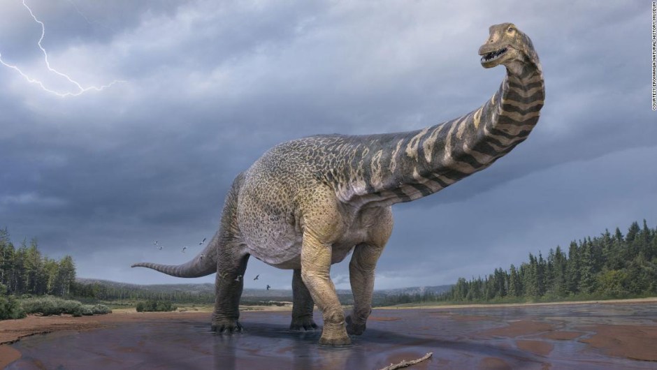 dinosaur australia