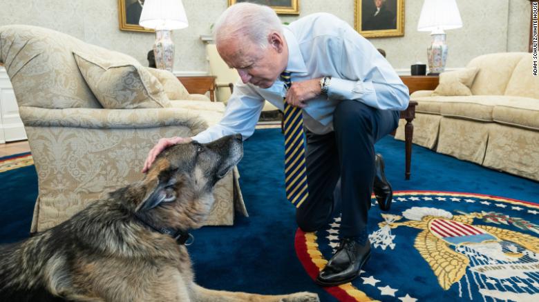 The Bidens Enlarge Their Family With A New Puppy Just For Christmas ...