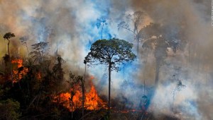 La sequía extrema y la deforestación están preparando la selva amazónica para una terrible temporada de incendios