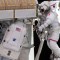 Astronautas panel solar Estación Espacial caminata
