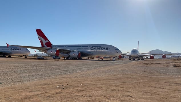 Qantas chases snakes off its planes