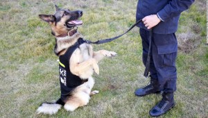 Policía de China subasta perros
