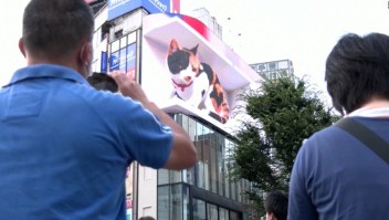 Mira este gato gigante que conquistó las calles de Tokio