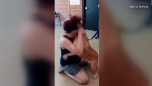 Mira el reencuentro de una mujer con su perro perdido