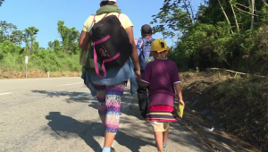 Haitianos buscan refugio en México ante la crisis