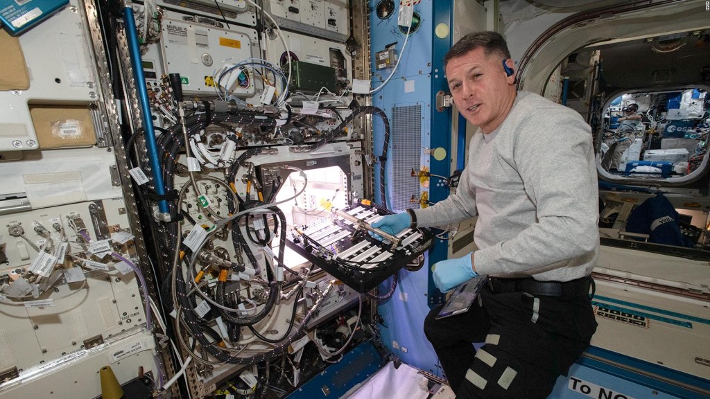 Astronautas cultivan chiles en estación espacial