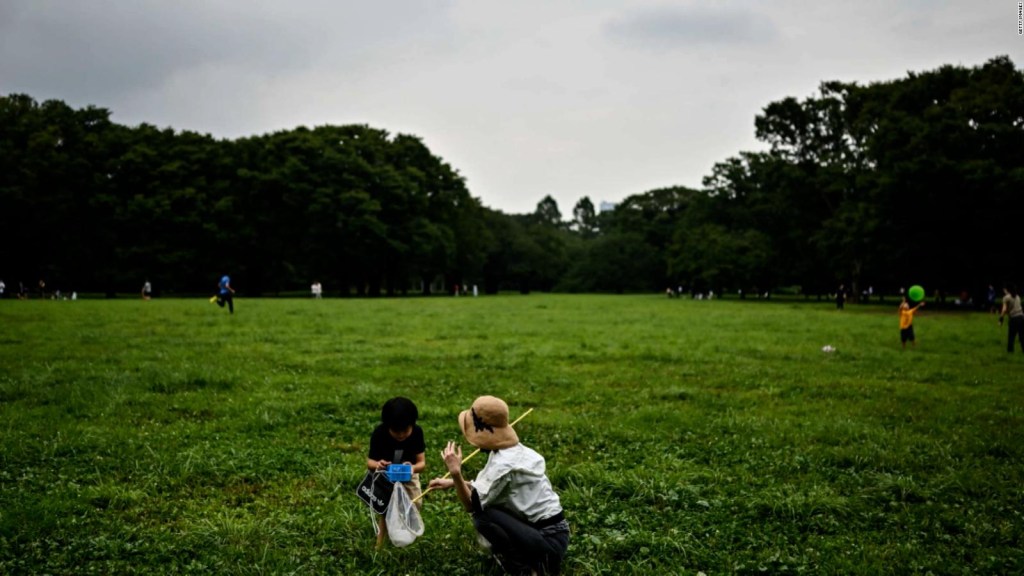 Los niños en contacto con las zonas verdes son más saludables