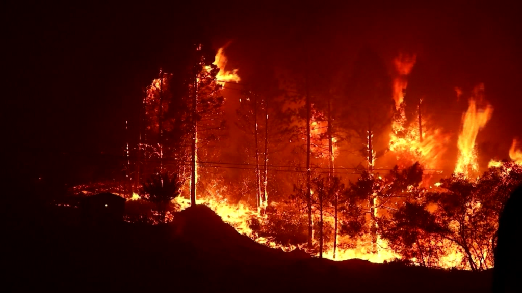 More than 520,000 hectares have been lost in a fire in the United States.