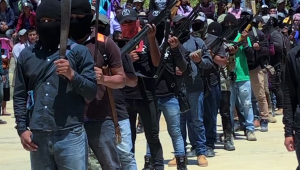 Crean grupo de civiles armados para proteger a mexicanos