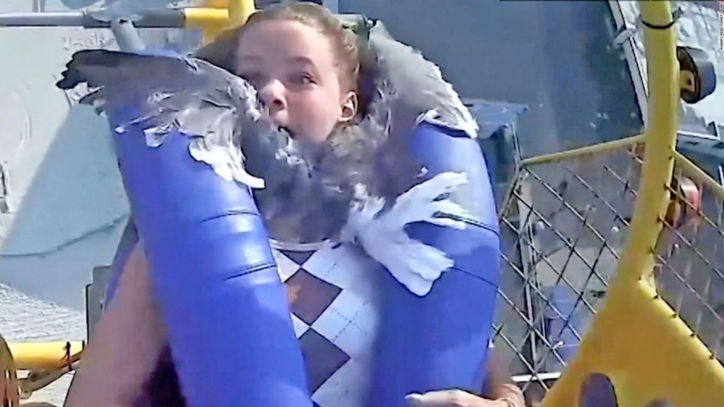 Seagull meets teenager in amusement park