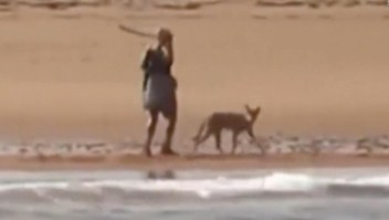 Mira a una mujer defenderse de un coyote con un palo