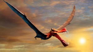 Hallazgos revelan "dragón" volador más grande de Australia