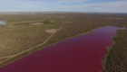 Increíble: una laguna se tiñe de rosa en Argentina