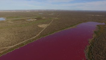Increíble: una laguna se tiñe de rosa en Argentina