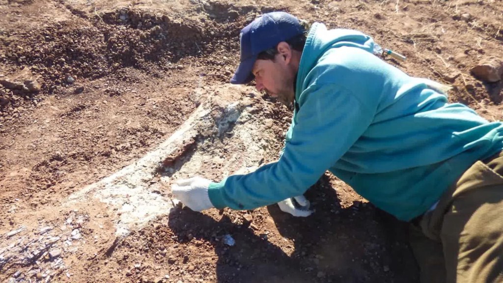 They discover remains of a dinosaur in Argentina