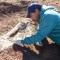 Descubren restos de un dinosaurio en Argentina
