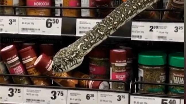 Capturan a serpiente en un supermercado