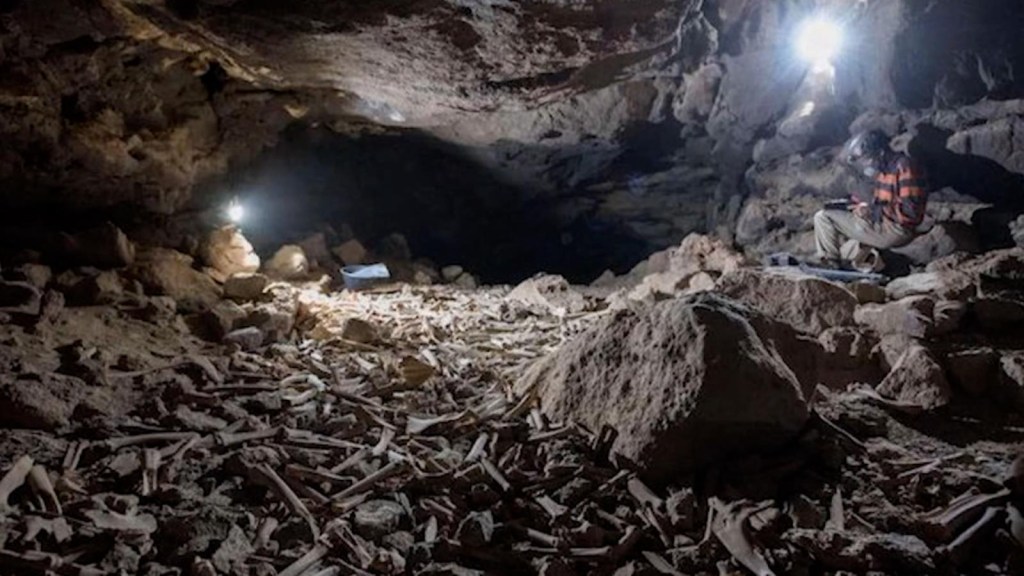 Descubren una tenebrosa cueva con restos humanos y animales recopilados por 7.000 años | CNN