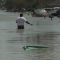 Ahora se registra posible ataque mortal de cocodrilo en inundación tras huracán Ida