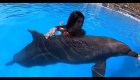 Presentadora recibe críticas tras nadar con un delfín