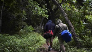 Continúan llegando migrantes haitianos a Costa Rica
