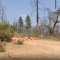 Misteriosa muerte de una familia en Yosemite