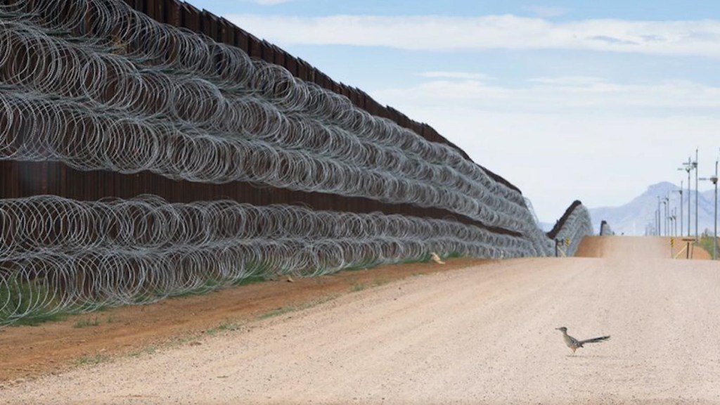 Mexican wins photo award for this bird on the border