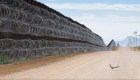 Mexicano gana premio de foto por esta ave en la frontera