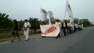 Avanza la marcha indígena en defensa de sus territorios