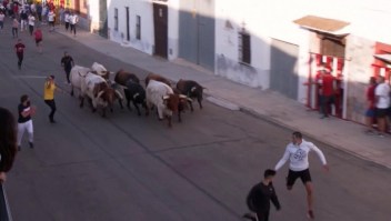 Vuelve la fiesta de toros en España