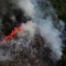 Dramático incendio forestal en la selva de la Amazonia