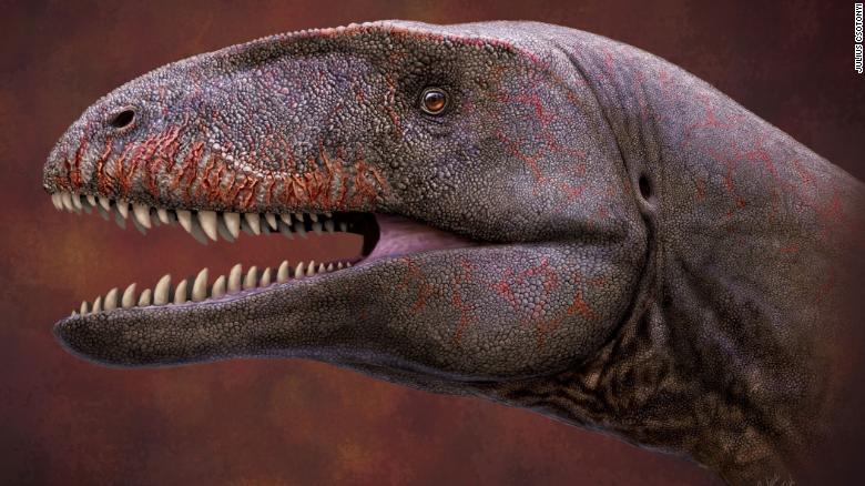 Un dinosaurio recién descubierto con dientes de tiburón