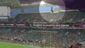 El gato volador en el fútbol americano se vuelve viral