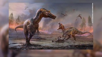 Dos nuevos dinosaurios descubiertos en Reino Unido