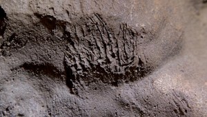 Una cueva da pistas sobre los neandertales