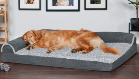 5 camas que mascota duerma cómoda y feliz CNN