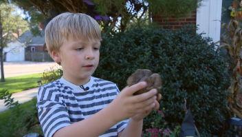 Niño de 6 años descubre fósil prehistórico en un arroyo