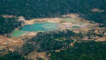 Despiertan gran preocupación incendios en el Amazonas